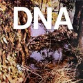 DNA - 5:30