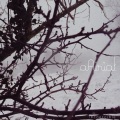 aAirial - Lovely night
