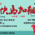 金杨 - 快马加鞭