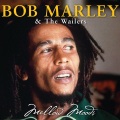 Bob Marley - How Many Times
