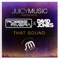 Robbie Rivera、David Jones - That Sound