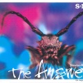 The Answer