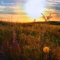 Sunless - Summer Lounge 2 (mix)