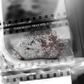 Zombie Girl - Creepy Crawler (Dirty Whore Remix By Virtual Terrorist)