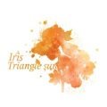 Triangle Sun - Secret Letter