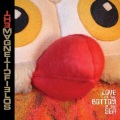 The Magnetic Fields - Born For Love