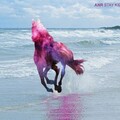 ANR - Stay Kids