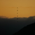 Chouchou - 空知らぬ雨、空に知られぬ雪