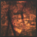 Adam Hurst - Metamorphosis