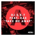 DJ S.K.T、Rae - Take Me Away