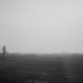 The Strange Demeanor Of Solitude