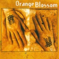 Orange Blossom
