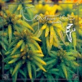 Caprice - Mary Morison