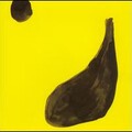 Melodium - Flacana 02