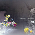 Kashiwa Daisuke - write once, run melos