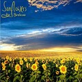 Sunless - Sunflowers By Sunless