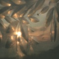 Amiina - Hemipode