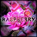 陈周 - Raspberries