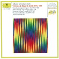 Helmut Walcha - 2. Adagio (降E大调第1号奏鸣曲，作品525 - 第二乐章 柔板)(Molto allegro)