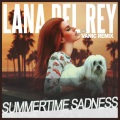 Vanic、Lana Del Rey - Summertime Sadness (Vanic Remix)