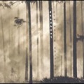 Deadbeat - Slow Rot from Rhetoric