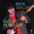 mick taylor - Turns to Gold