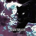 SIAM SHADE - Don't