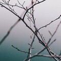 A Himitsu - Isolated Mind