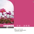 许嫚烜 - 欢舞