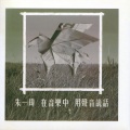 在音乐中 用声音说话