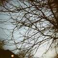 Anna Rose Carter、Pleq - My Piano Is Broken