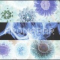 Aromabar - Sparkling Beauty