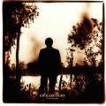 Ed Harcourt - In My Time Of Dust