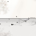 Kashiwa Daisuke - Coto