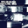 Noel Gallagher - The Good Rebel