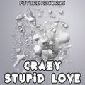 DGL Flow - Crazy Stupid Love