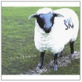 S.R.S - 春はみんなに訪れる
