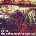 dntel - Bright Night (Robags Kloff Mottüré Mix)