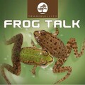 Levantis - Frog Talk (Original)