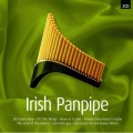 Ray Hamilton Orchestra - Forty Shades Of Green