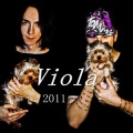 viola - Break The News Gently