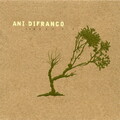 Ani DiFranco - Hypnotized