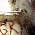 Gry、F.M. Einheit - Poles Apart