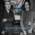 Beck - Burnt Orange Peel
