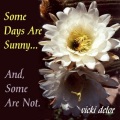 Vicki DeLor - Some Days Are Sunny And Some Are Not
