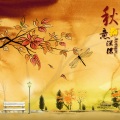 左旗 - 听秋