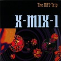 Visions Of Shiva、The - Perfect Night