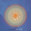 Chaim - Love Rehab
