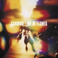 Caribou - Skunks