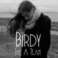 Birdy - The A Team
